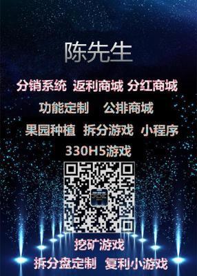 網(wǎng)上貿(mào)易代理系統(tǒng)定制開發(fā) 參考MT大亨模式的規(guī)則設計與實踐